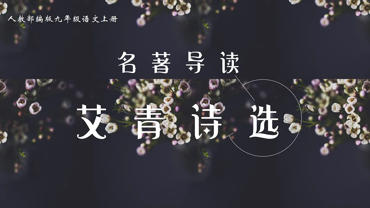 17317761第1页