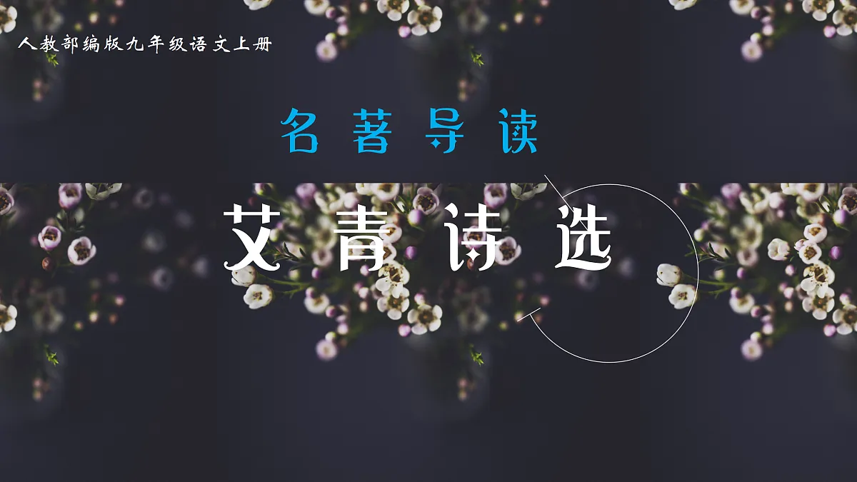 17317764第1页