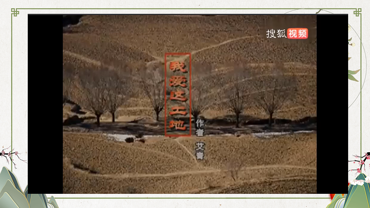 17317772第3页