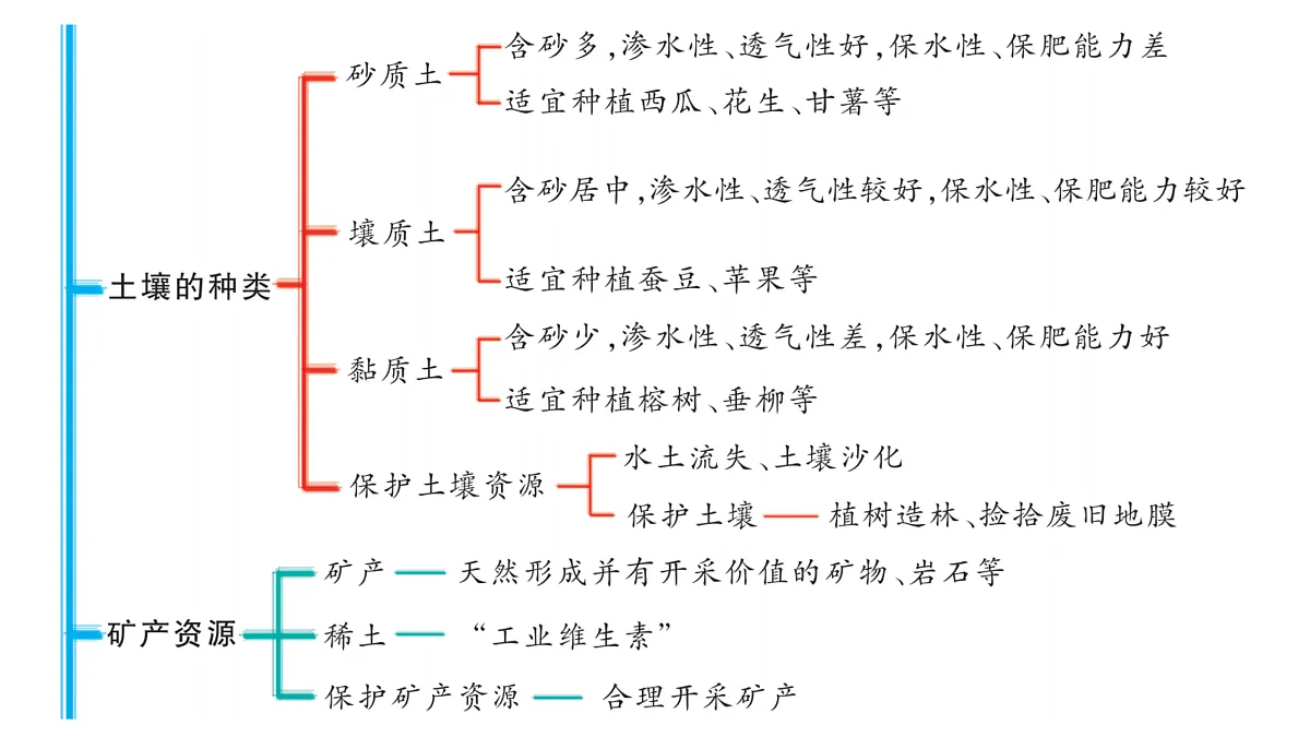 17318156第3页