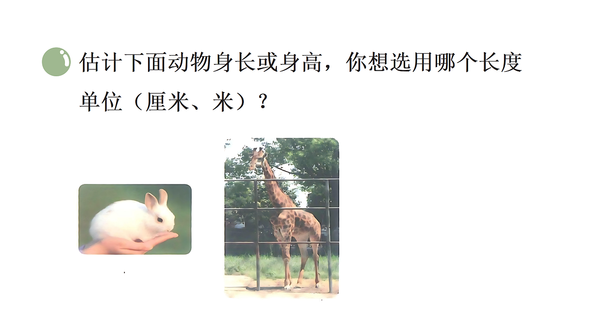 17318191第7页