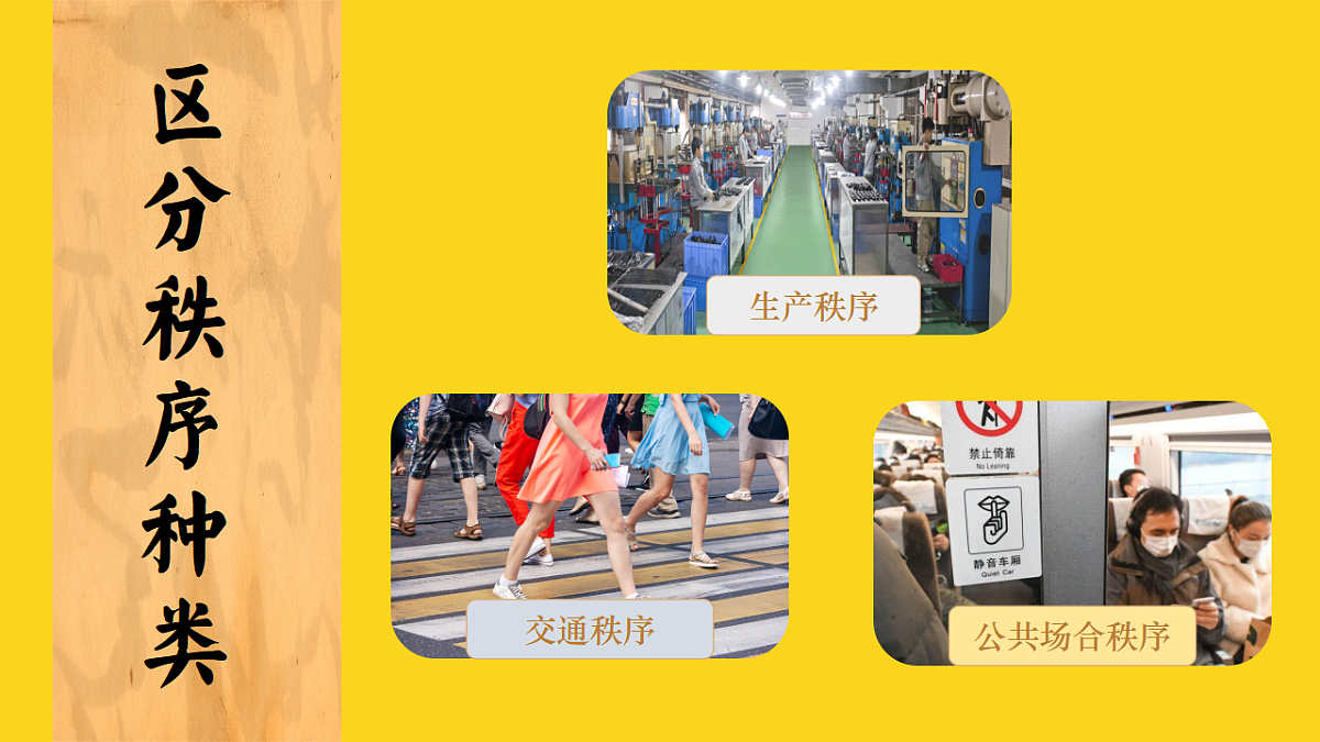 17319029第7页