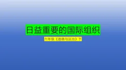 部編版六年級(jí)下《日益重要的國(guó)際組織》PPT課件+教案