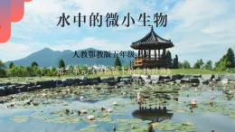 3.8《水中的微小的生物》課件