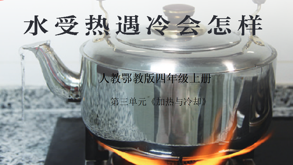 17319248第1页