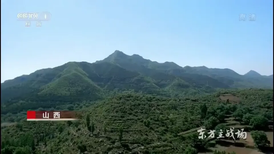 第18课 全民族抗战中的正面战场和敌后战场第6页