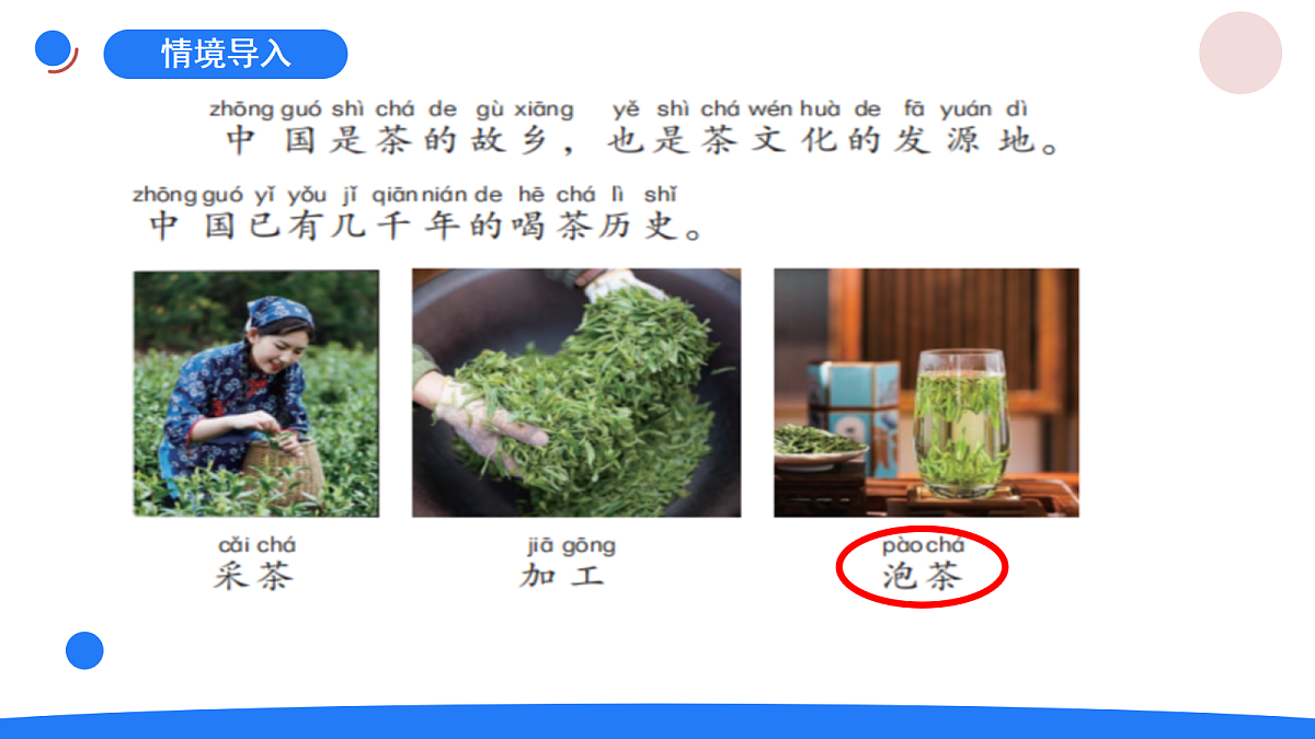 1.3《茶叶能溶解吗》课件第2页