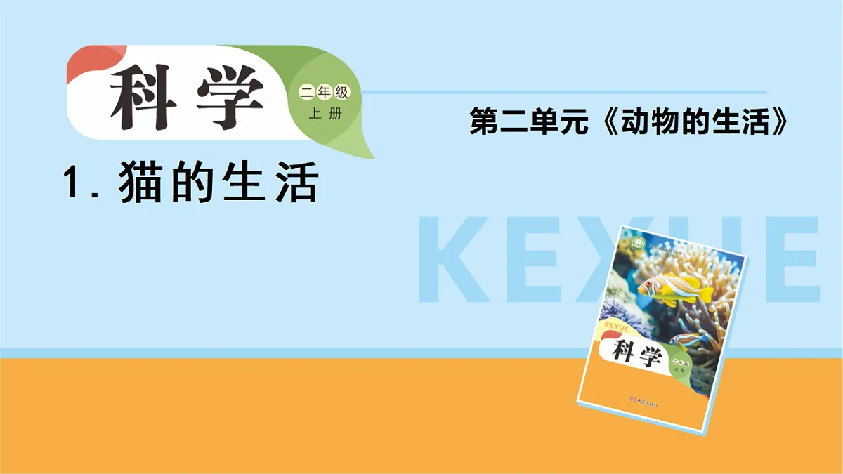 1 猫的生活(课件)第1页