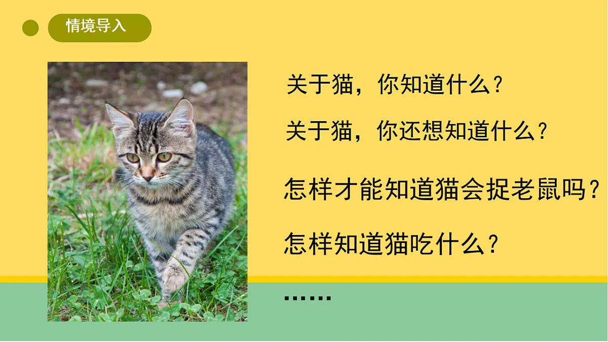 1 猫的生活(课件)第2页