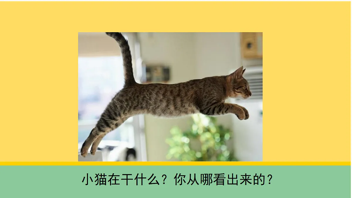 1 猫的生活(课件)第6页