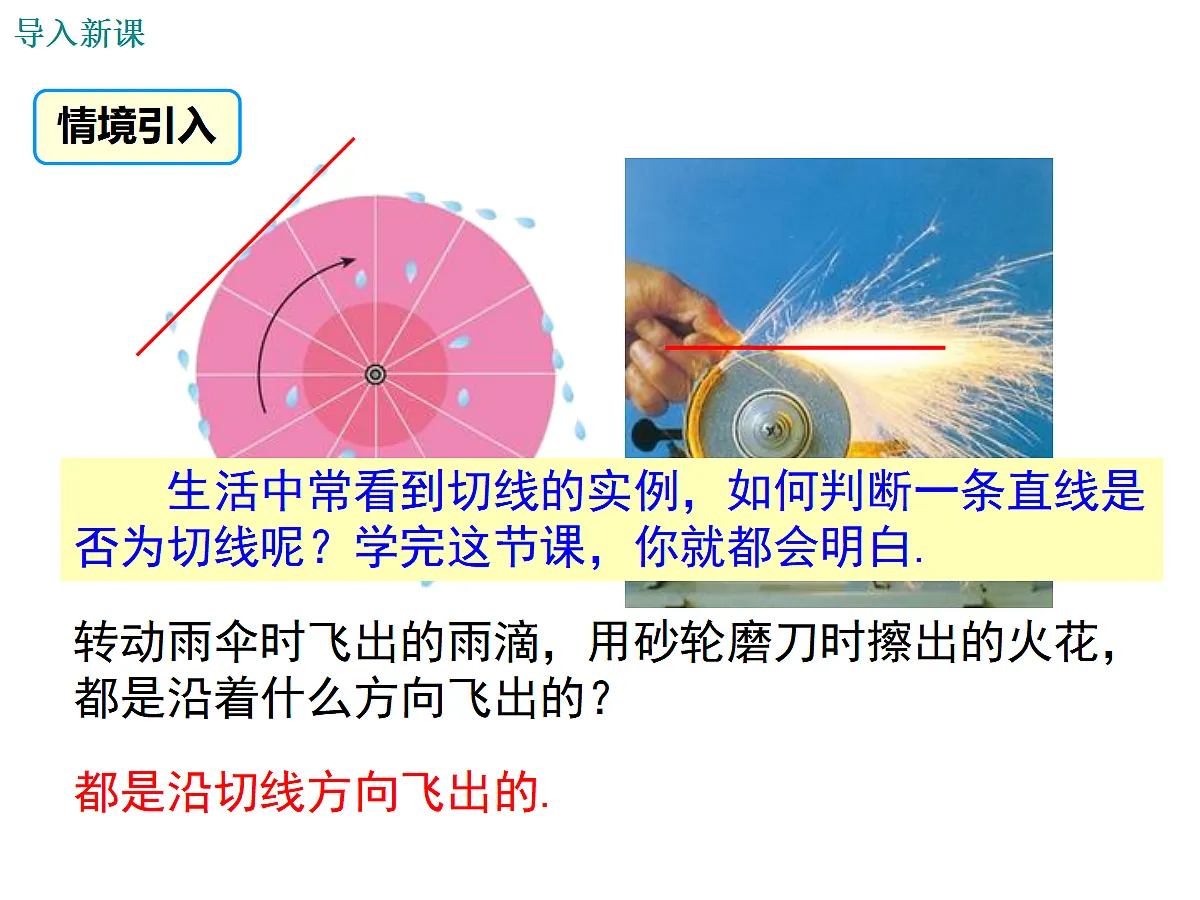 17320876第3页