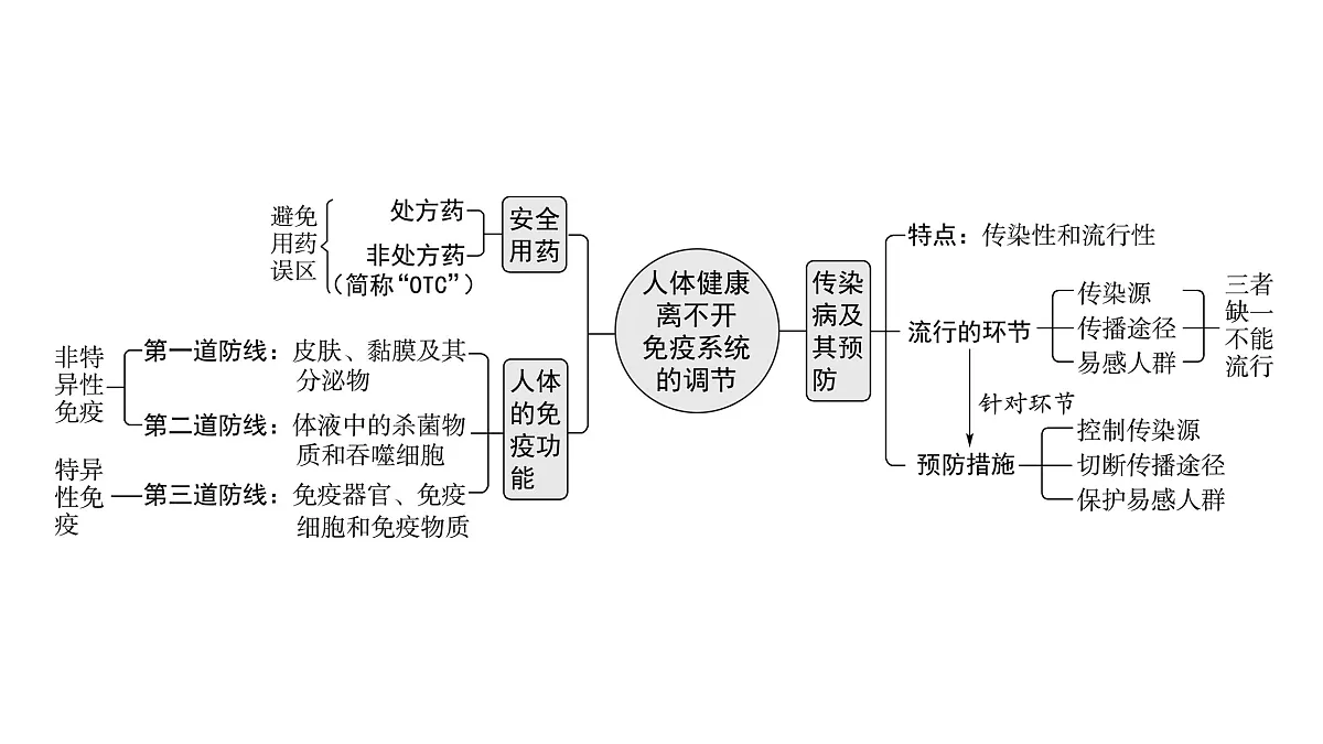 17321263第2页