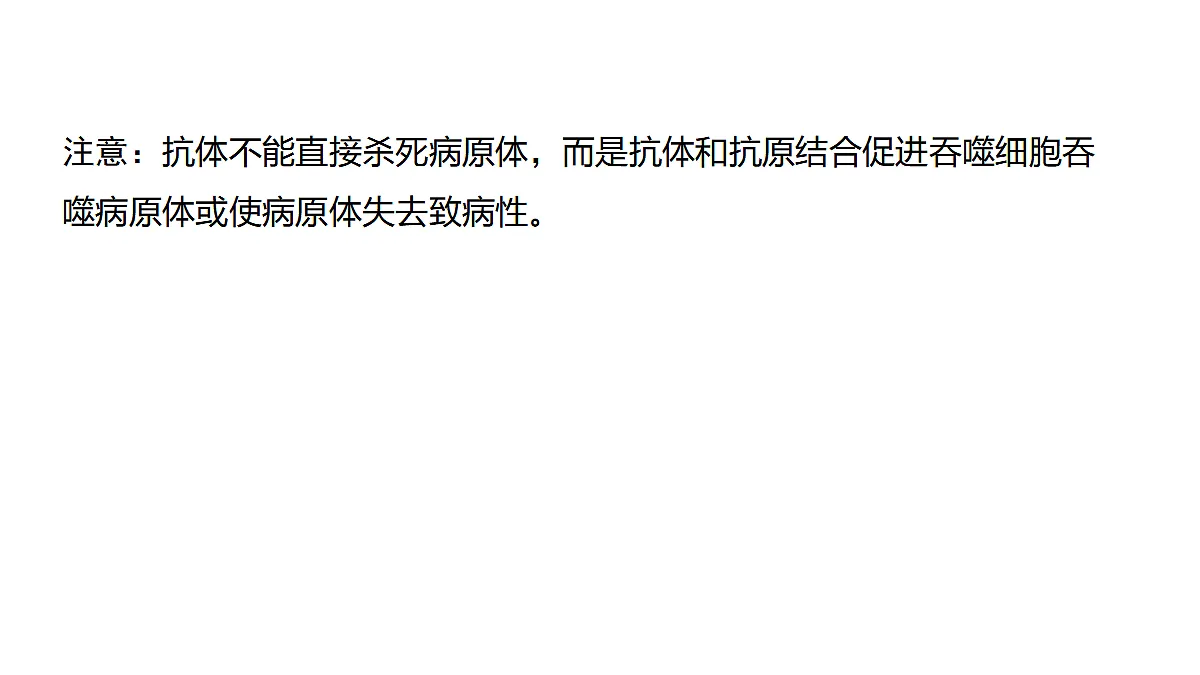 17321263第5页