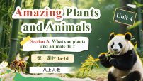英语人教版（2024）Unit 4 Amazing Plants and Animals Section A 1a-1d课文配套课件ppt