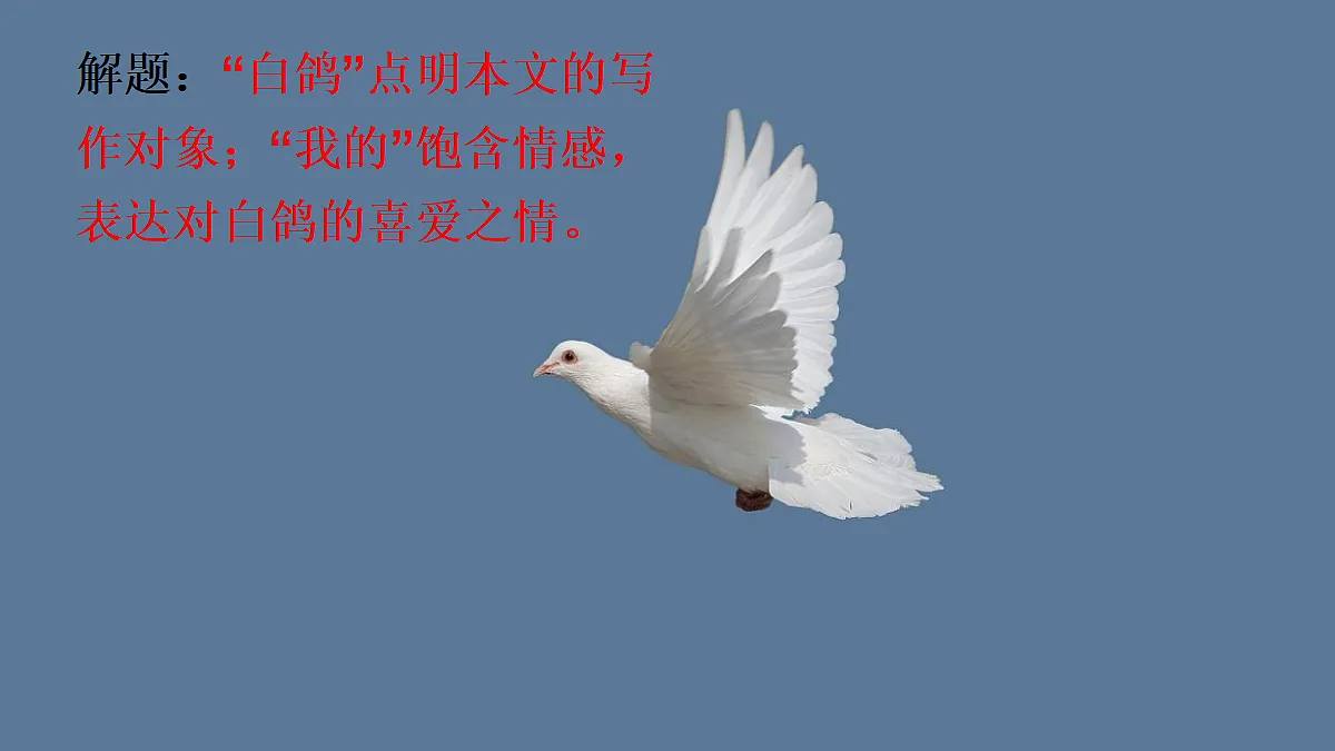 17321963第2页
