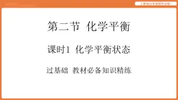第二節(jié) 化學平衡-課時1 化學平衡狀態(tài)   人教版化學選擇性必修1 課件