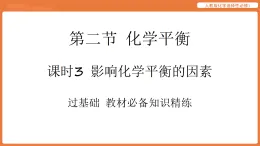 第二節(jié) 化學平衡-課時3 影響化學平衡的因素  人教版化學選擇性必修1 課件