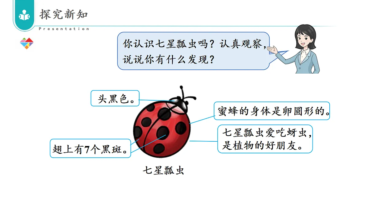17322762第7页