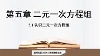 北师大版(2024)八年级上册(2024)1 认识二元一次方程组多媒体教学课件ppt