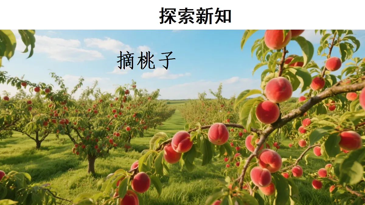 17323296第3页