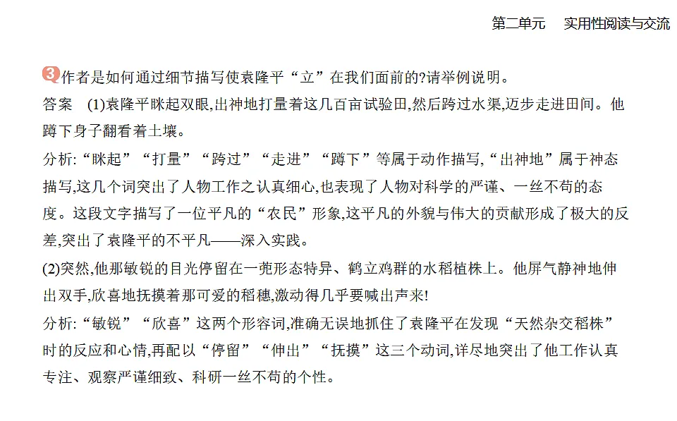 17324722第3页