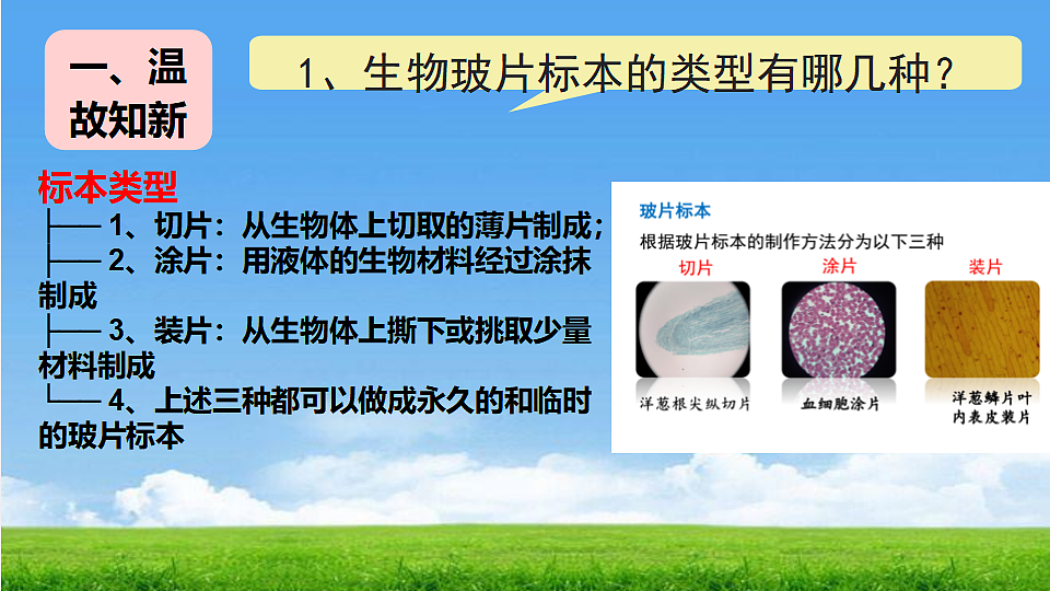 17324954第2页