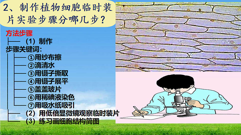 17324954第3页