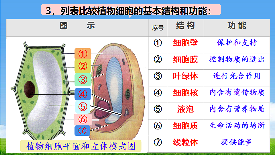 17324954第4页