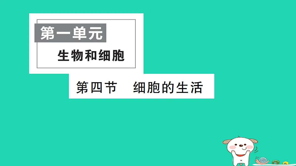 17325139第1页