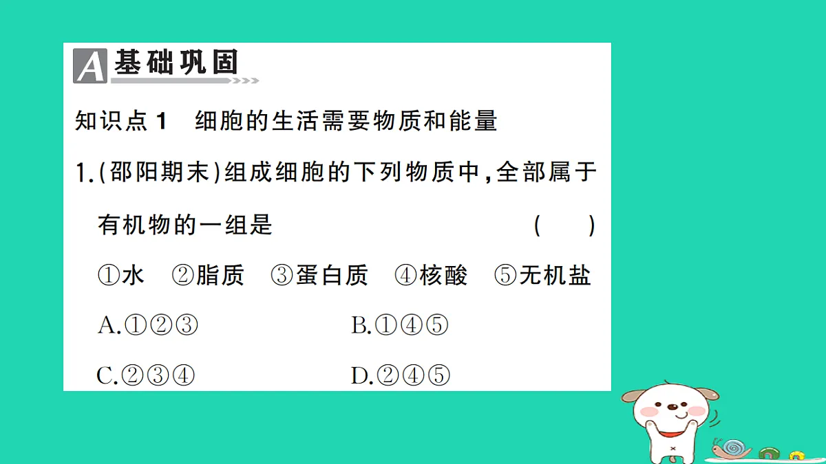 17325139第2页