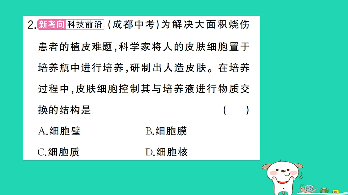 17325139第3页