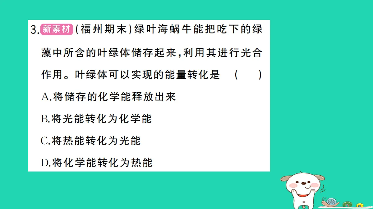 17325139第4页