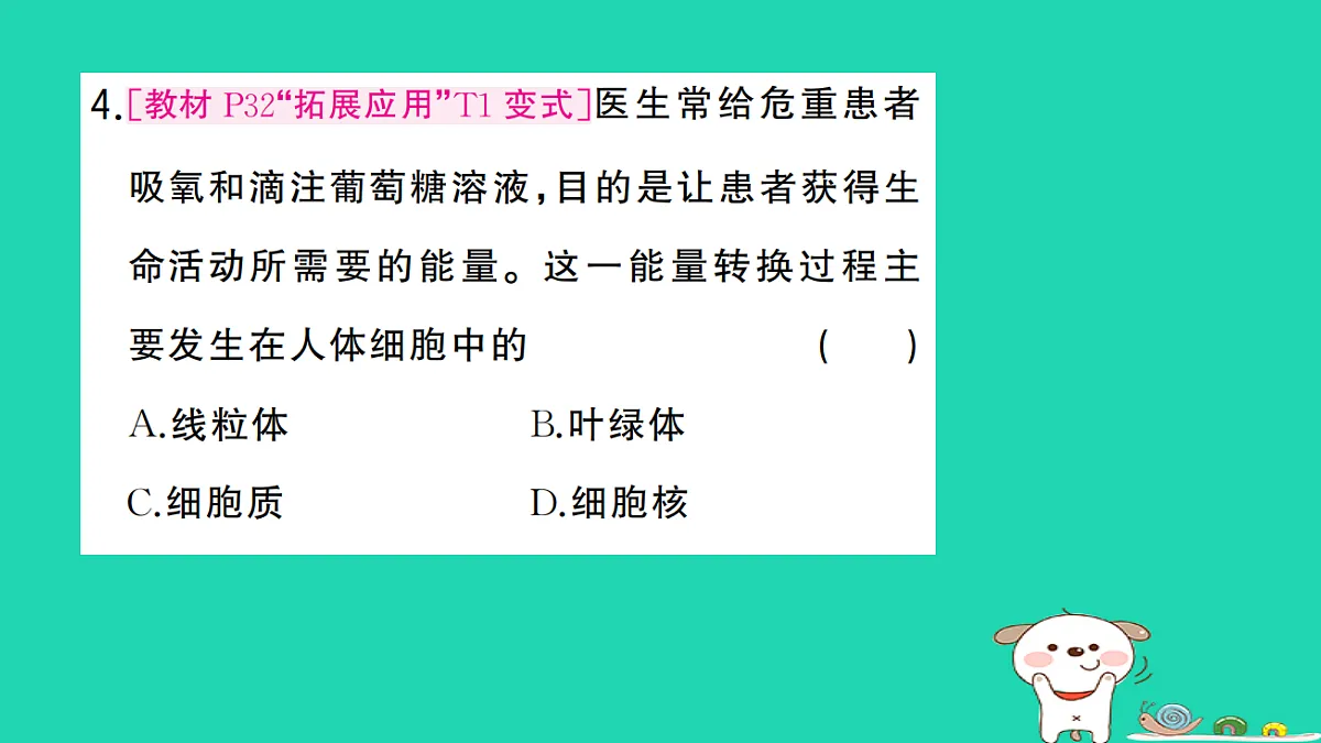 17325139第5页