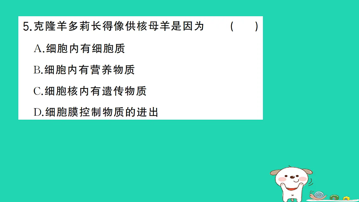 17325139第6页