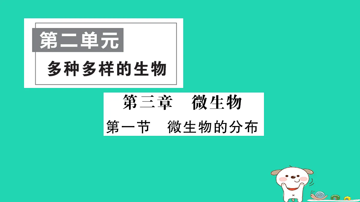 17325149第1页