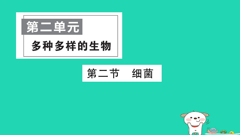 17325150第1页