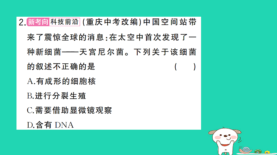 17325150第3页