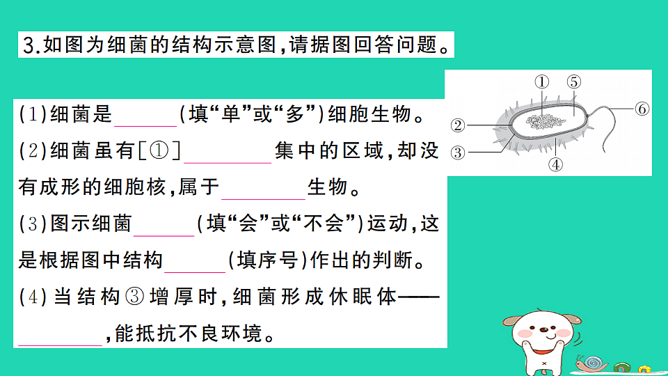 17325150第4页