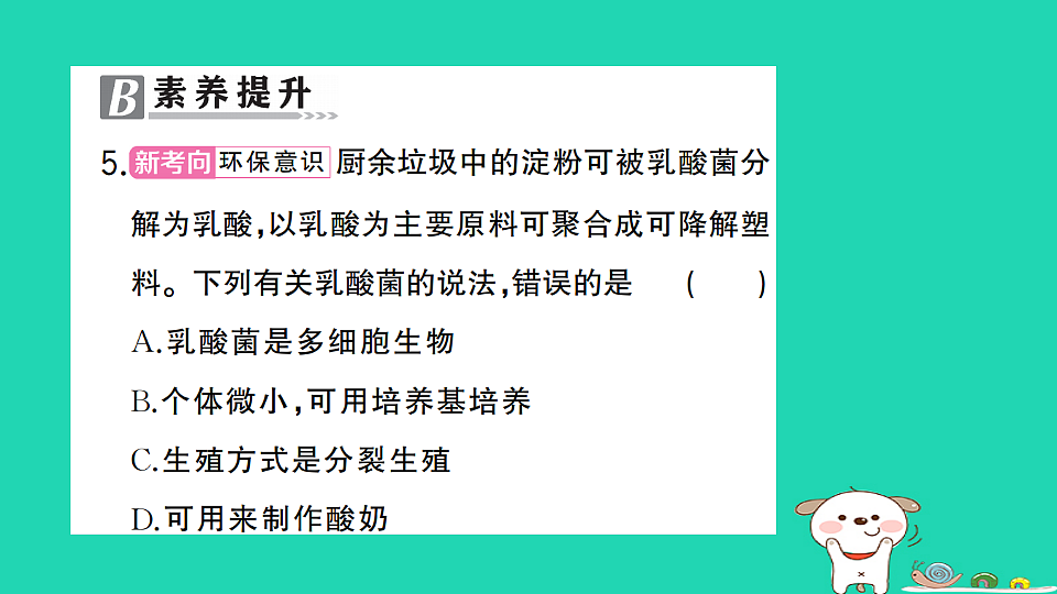 17325150第6页