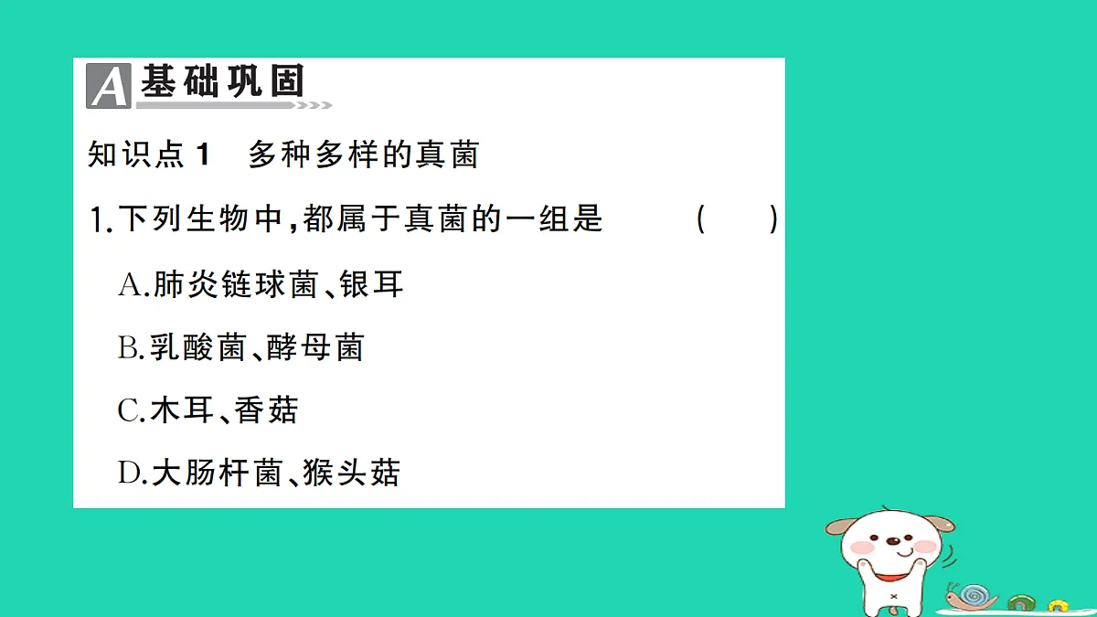 17325151第2页