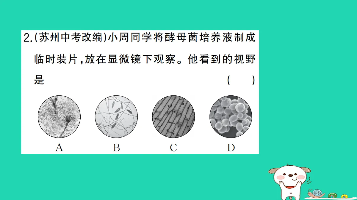 17325151第3页