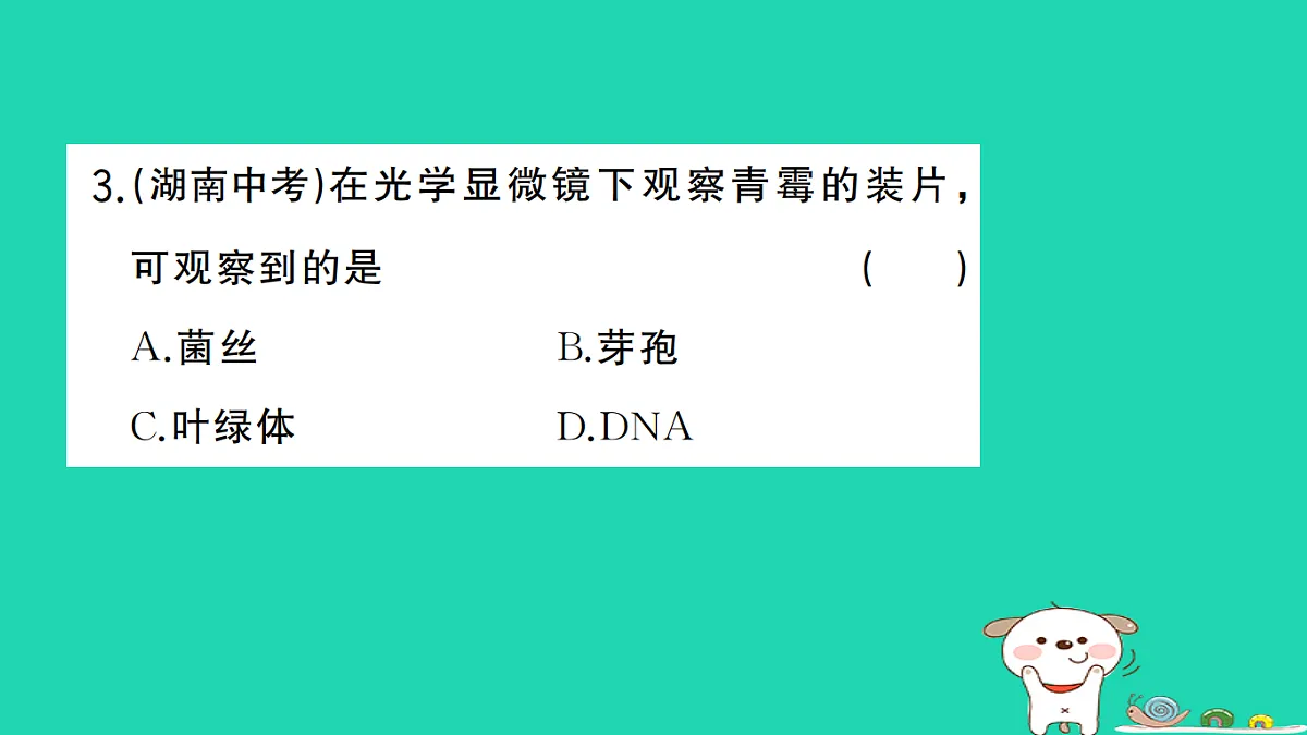 17325151第4页