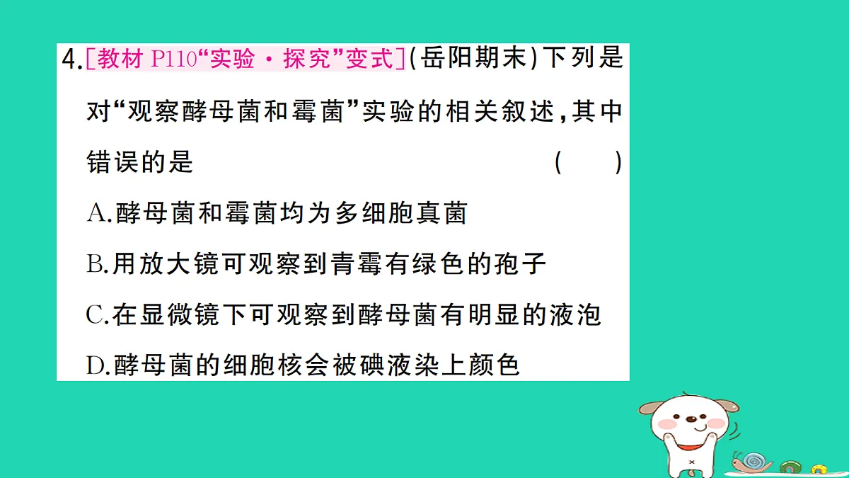 17325151第5页