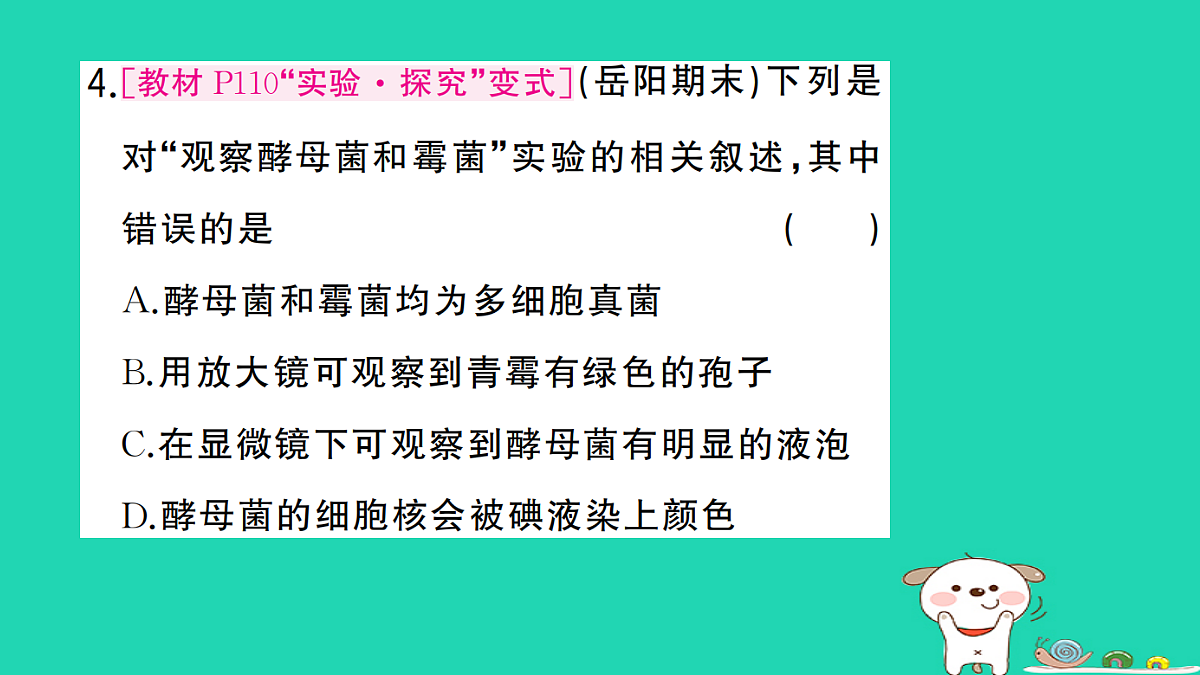 17325151第5页