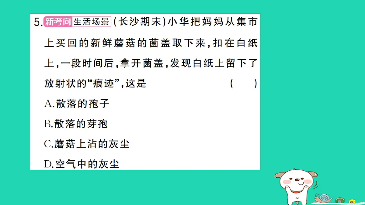 17325151第6页
