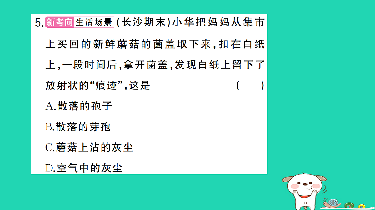 17325151第6页