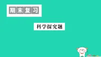 2025七年级生物上册期末复习科学探究题作业课件新版新人教版（含答案）
