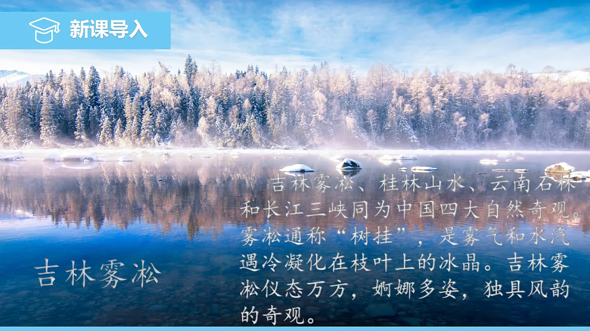 17325257第3页