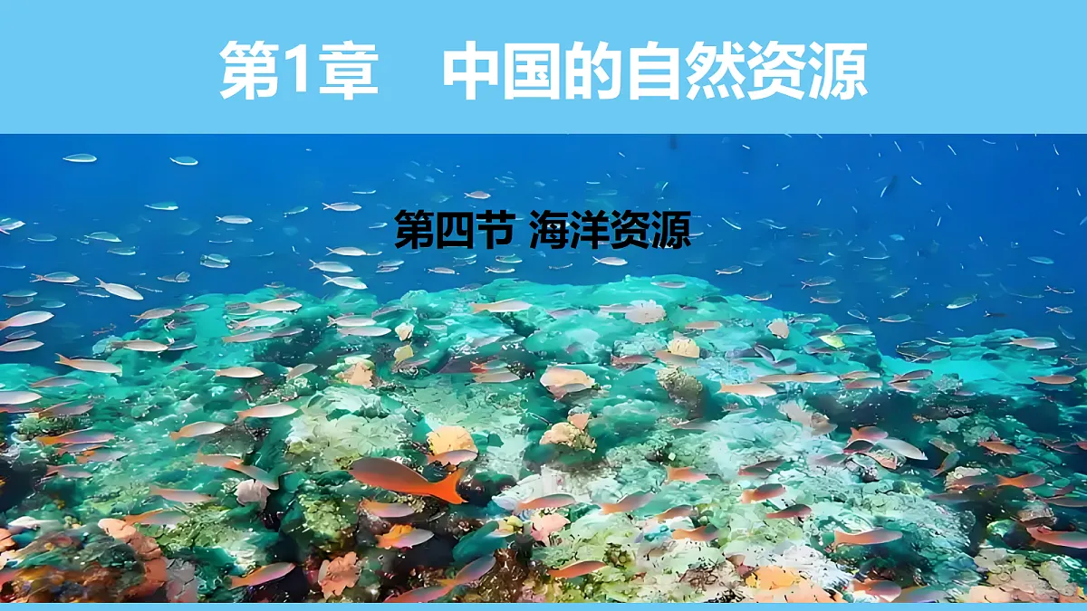 17325259第1页