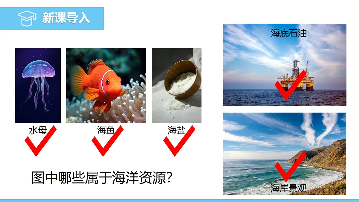 17325259第3页